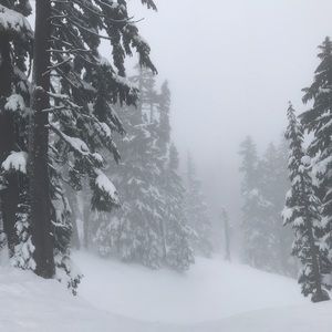 Meet your Posher, Kohl